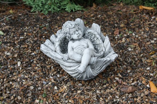 KAC90 Medium Cherub Sea Shell